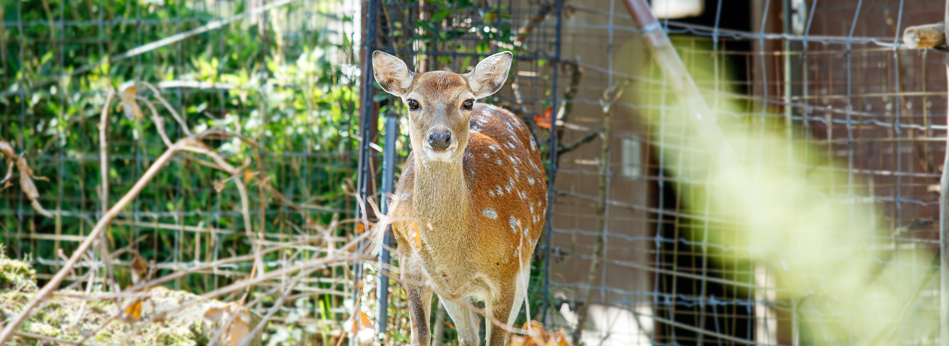 飯田市立動物園